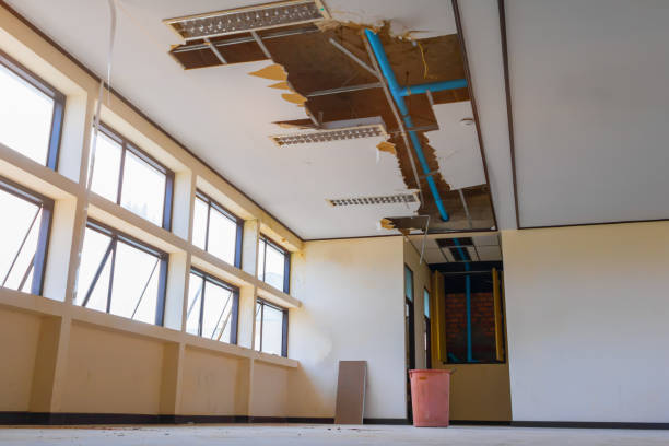 Best Ceiling water damage repair  in Prophetstown, IL