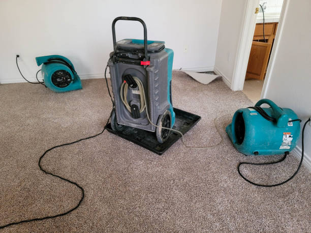 Sewage cleanup and water damage restoration in Prophetstown, IL
