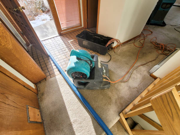 Water damage restoration experts in Prophetstown, IL