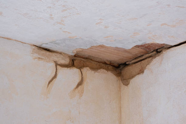 Best Water damage cleanup near me  in Prophetstown, IL
