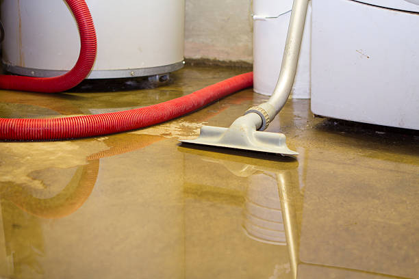 Best Water damage restoration mold remediation  in Prophetstown, IL