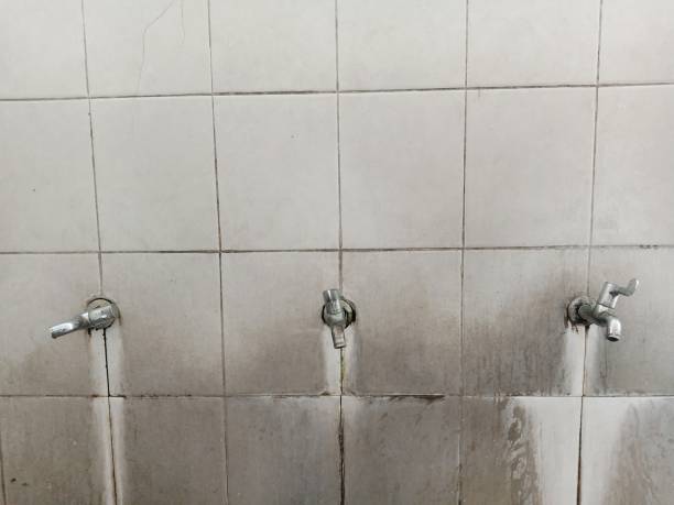 Best 24/7 water damage repair  in Prophetstown, IL