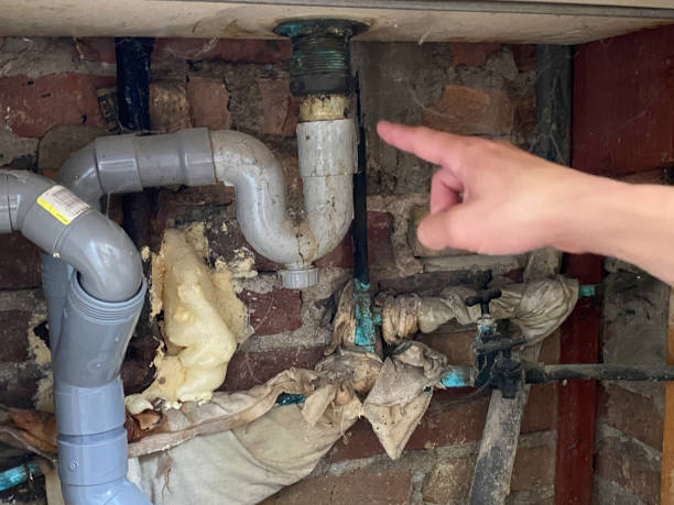 Best Residential water damage restoration  in Prophetstown, IL