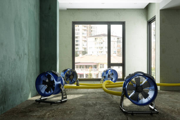 Best Water damage restoration near me  in Prophetstown, IL