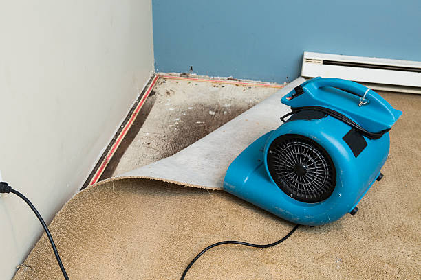Best Commercial water damage restoration  in Prophetstown, IL